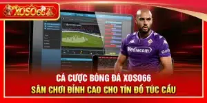 Cá cược bóng đá Xoso66 – Sân chơi đỉnh cao cho tín đồ túc cầu