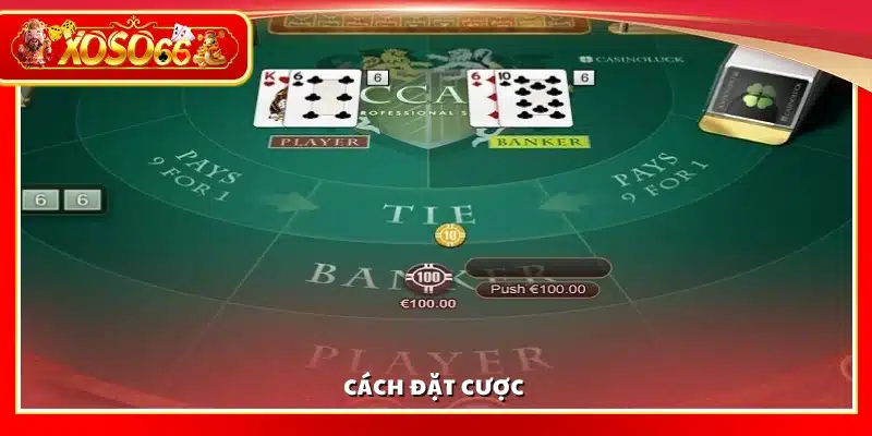 Hướng dẫn cách thức đặt cược