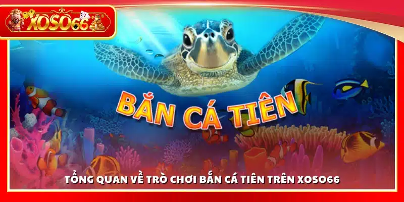 Tổng quan về Bắn cá Tiên trên Xoso66