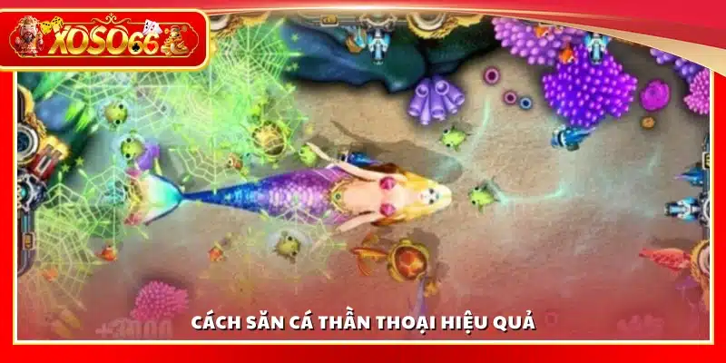Cách săn cá thần thoại nhanh chóng và dễ dàng