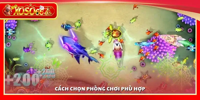Chọn phòng chơi sao cho phù hợp với kỹ năn