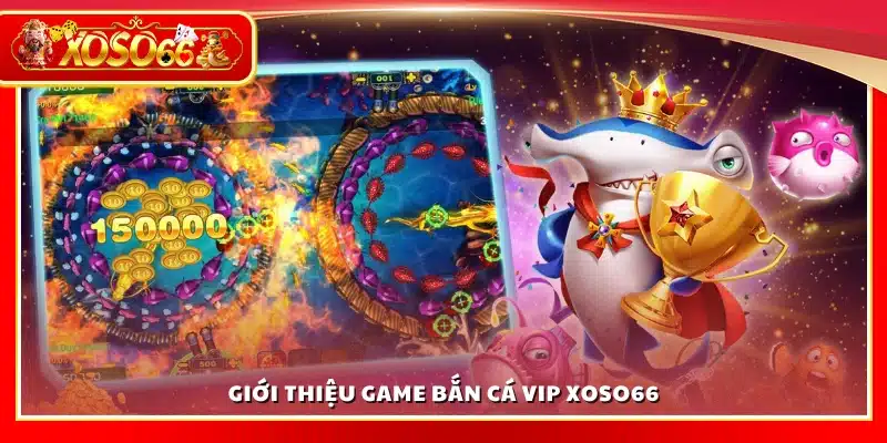 Giới thiệu về bắn cá VIP Xoso66