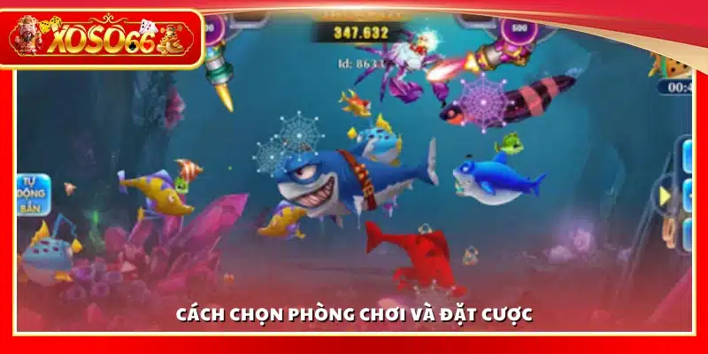 Cách tham gia và chọn phòng chơi, đặt cược