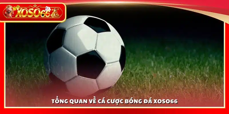 Tổng quan về hệ thống cá cược bóng đá tại Xoso66