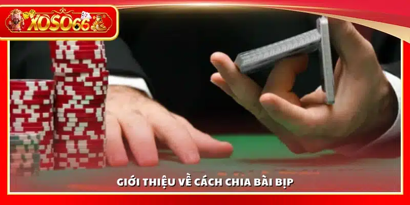Tìm hiểu kỹ thuật cách chia bài bịp
