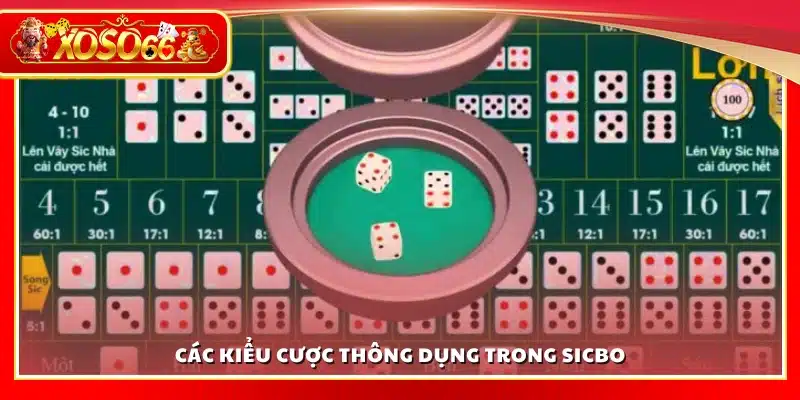Các loại cược phổ biến trong cách chơi sicbo cho người mới