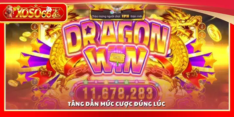 Nên tăng mức cược đúng thời điểm để thắng lớn