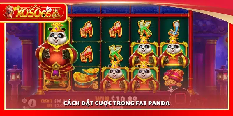 Đặt cược trước khi bắt đầu vòng quay kịch tính