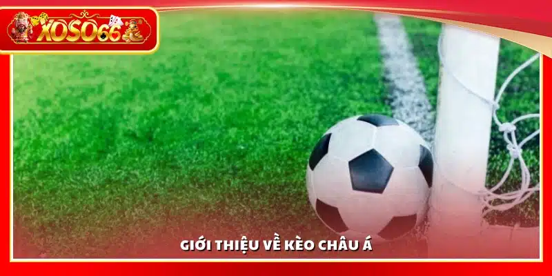 Tìm hiểu về kèo châu Á