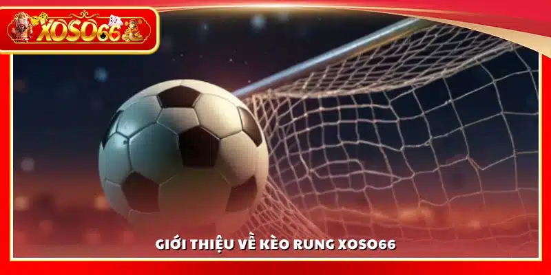 Khám phá kèo rung tại Xoso 66