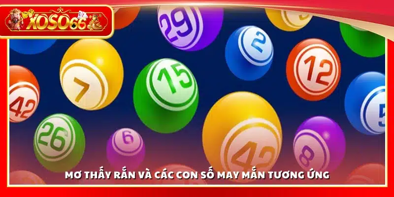 Con số nào ứng với giấc mơ thấy rắn?