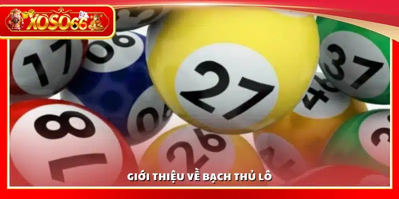 Tìm hiểu về bạch thủ lô