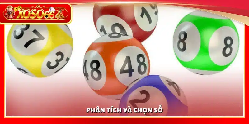 Lựa chọn và phân tích số