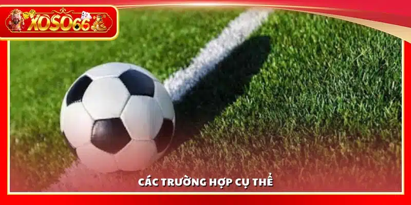 Các tình huống đặc biệt