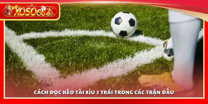 Hướng dẫn đọc kèo Tài Xỉu 2 trái