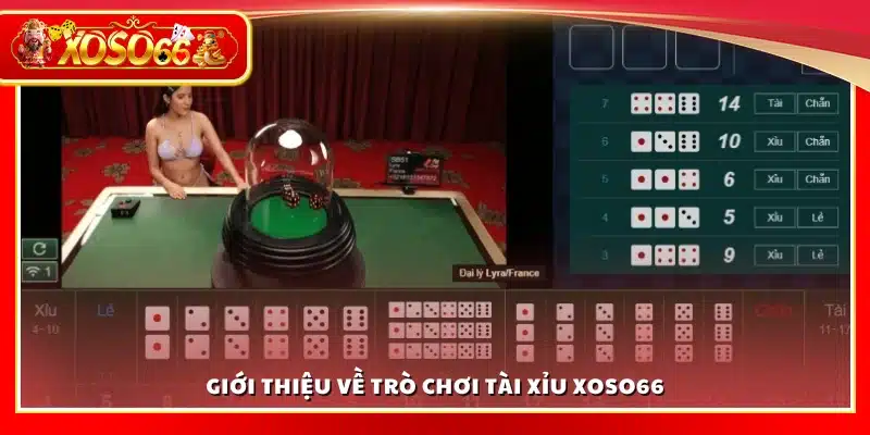 Tổng quan về trò chơi Tài Xỉu tại Xoso 66